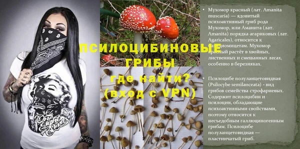 PSILOCYBIN Балахна
