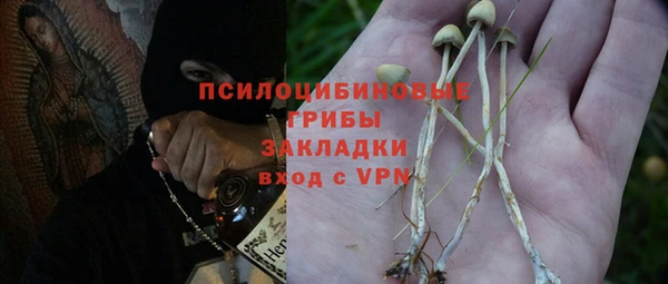 PSILOCYBIN Балахна