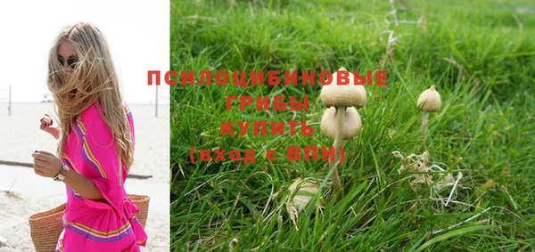 PSILOCYBIN Балахна