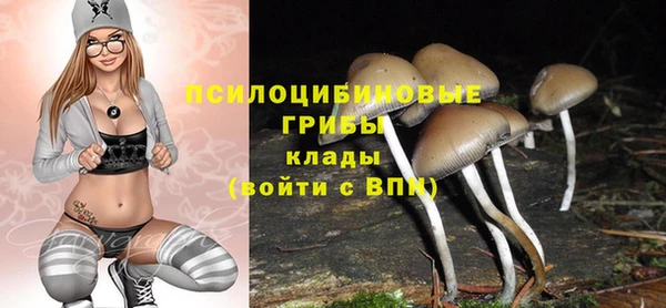 PSILOCYBIN Балахна